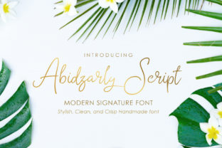 Abidzarly Script Handwritten Font for Digital Branding