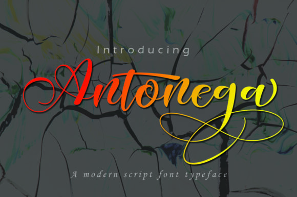 Antonega: The Elegant Script Handwritten Font for Campaign Design