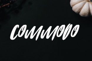 Commodo Typeface Review for Elegant Branding