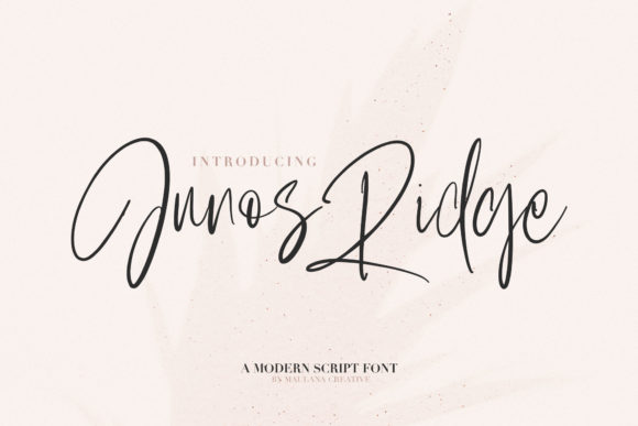 Junos Ridge Font Review: A Bold Script for Handmade Branding