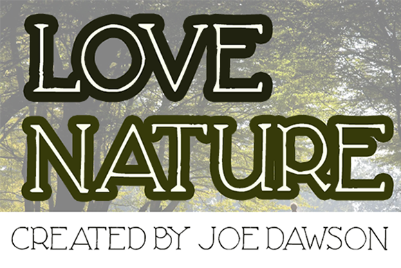 Love Nature Free Download: Organic Serif Review