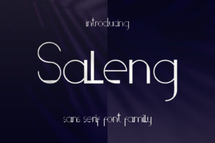 Saleng: The Playful Sans Serif Font for Modern Campaigns